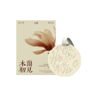 XY Artistic Plaster Scent Hanger